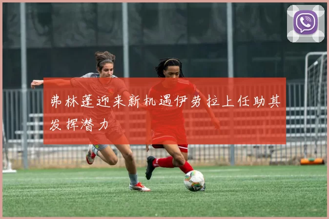 弗林蓬迎来新机遇伊劳拉上任助其发挥潜力